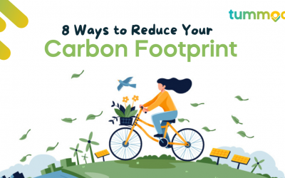 8 Ways to Reduce Your Carbon Footprint