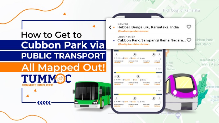 Tummoc, Tummoc app, Public Transport Information