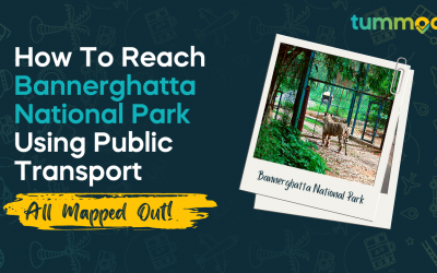 How to Reach Bannerghatta National Park Using Public Transport #AllMappedOut