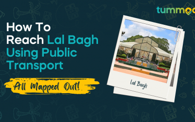 How to Reach Lal Bagh Using Public Transport #AllMappedOut